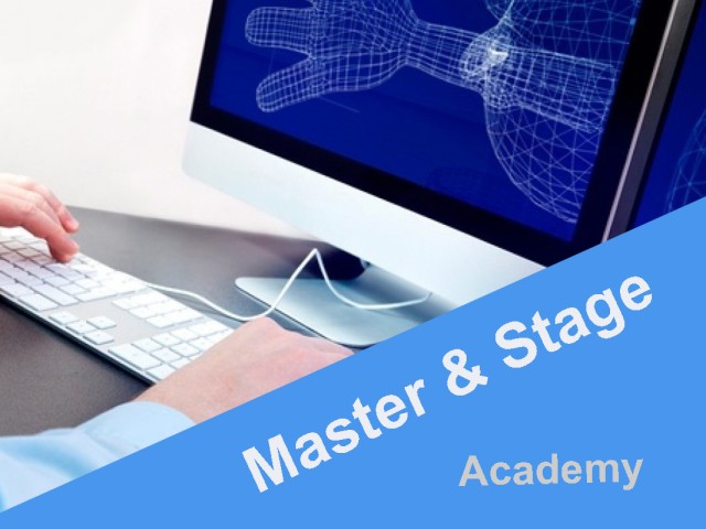 Master in 3D Studio Max